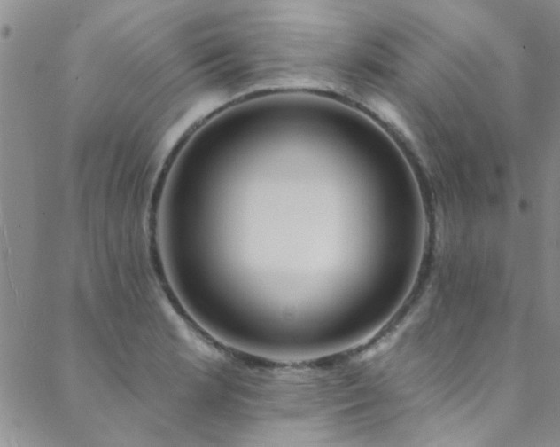 X0000088881181200706081233
