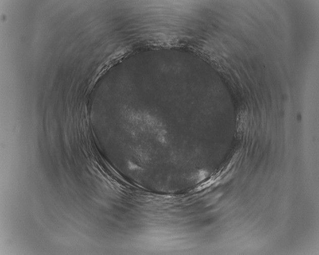 X0000088881202200706081232