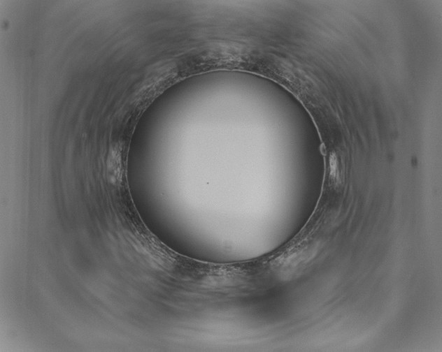 X0000088881203200706081232