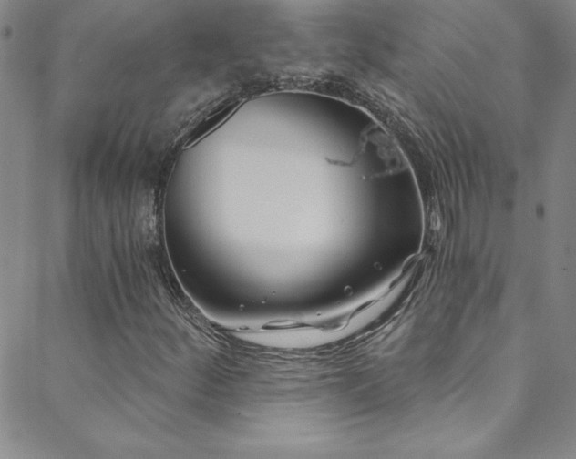 X0000088881252200706081232