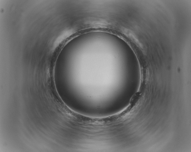 X0000088881261200706081232
