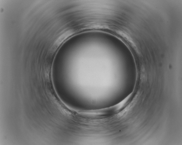 X0000088881273200706081232