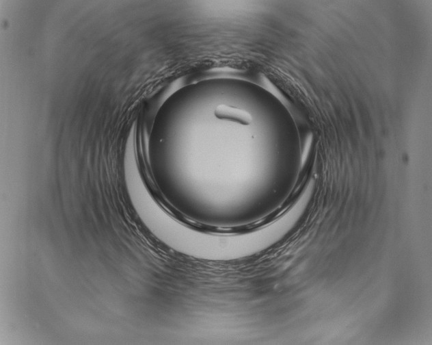 X0000088881298200706081230
