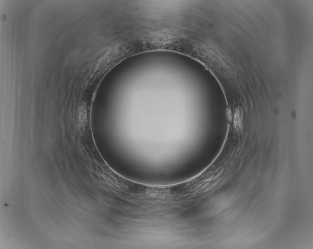 X0000088881299200706081230