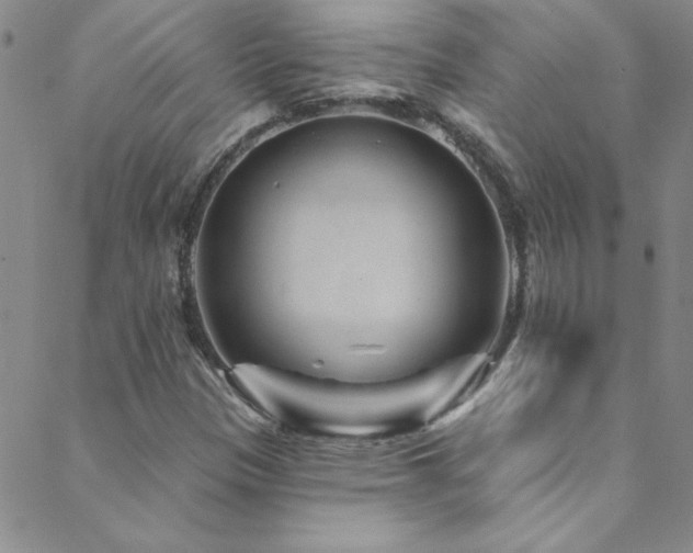 X0000088881305200706081231