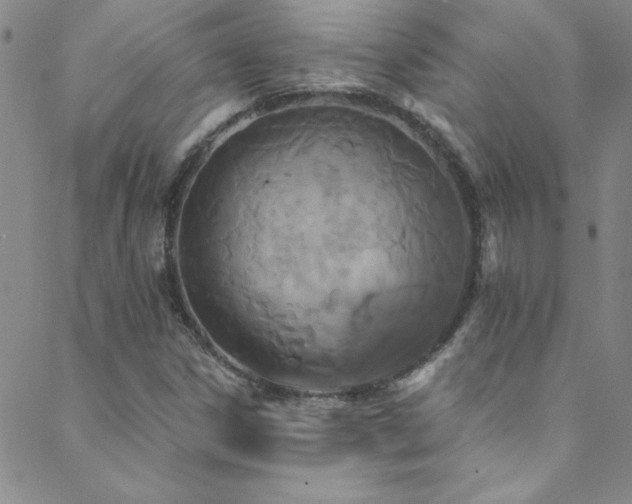 X0000088881306200706081231