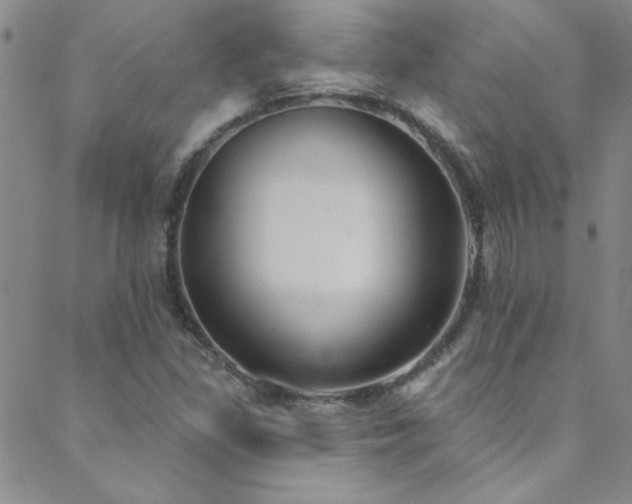 X0000088881309200706081231