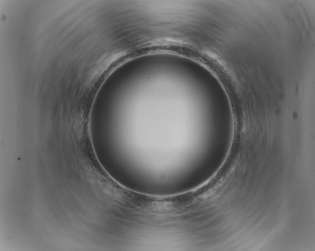 X0000088881313200706081231