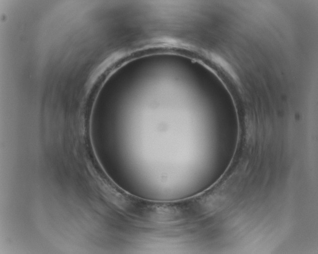 X0000088881318200706081231