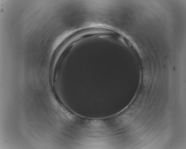 X0000088881319200706081231