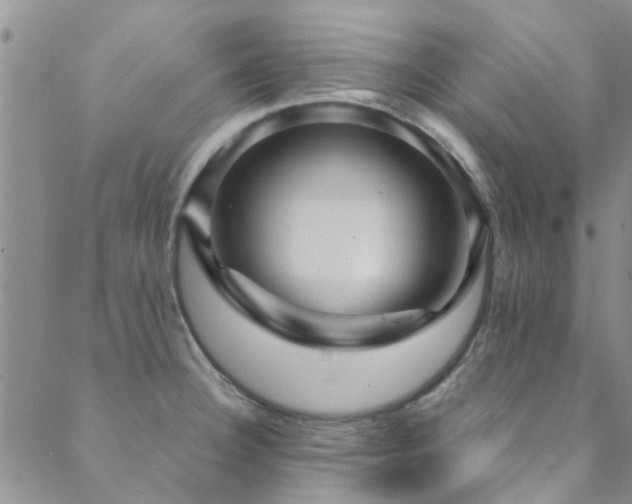X0000088881332200706081231