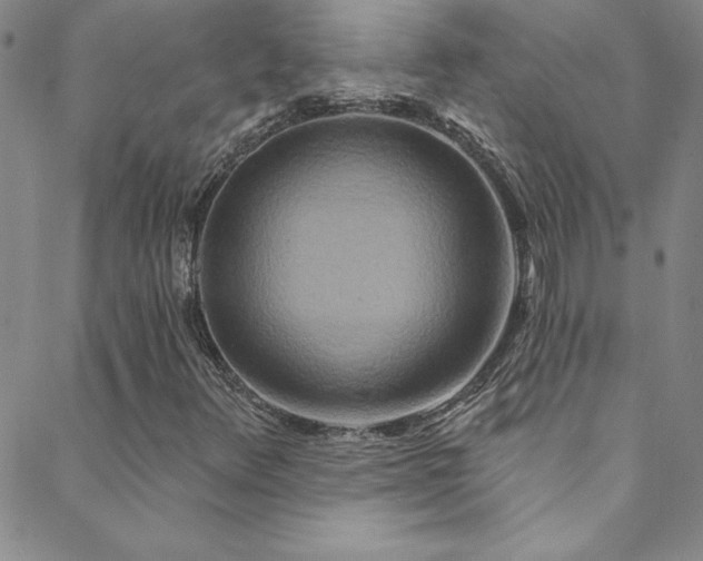 X0000088881348200706081230