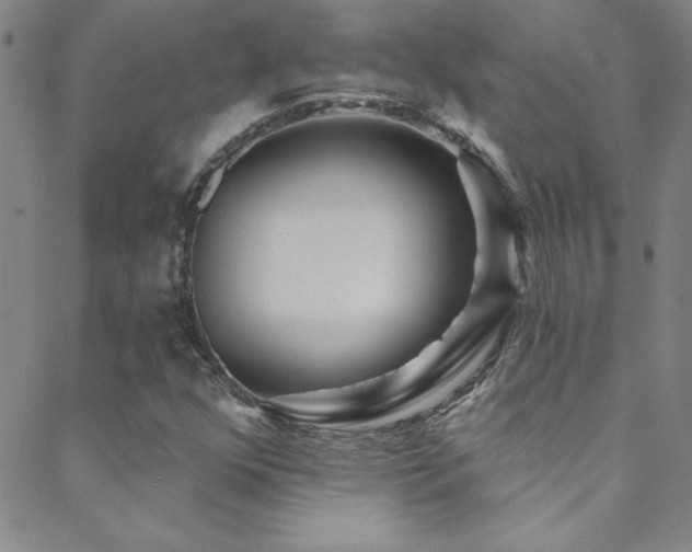 X0000088881352200706081230