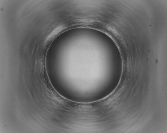 X0000088881354200706081230