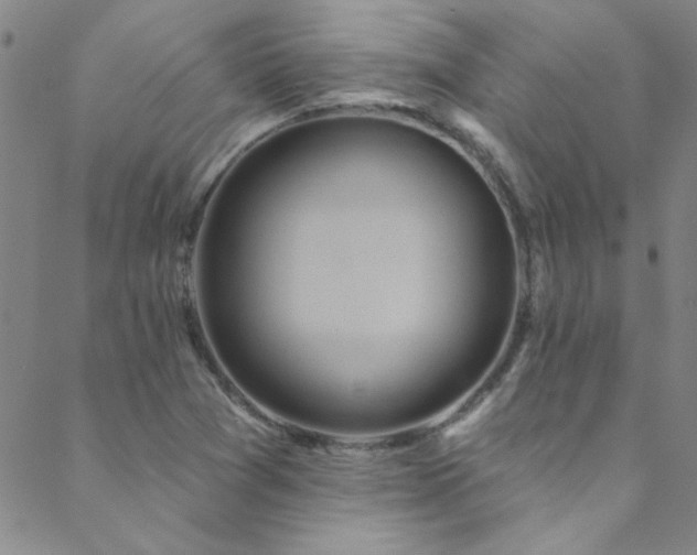 X0000088881361200706081230