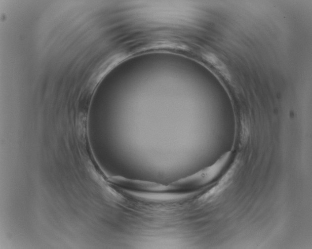 X0000088881369200706081230