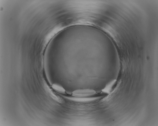 X0000088881371200706081230