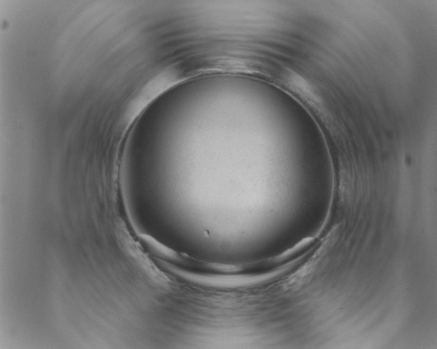 X0000088881378200706081230