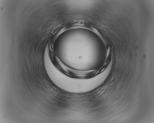 X0000088881394200706081229