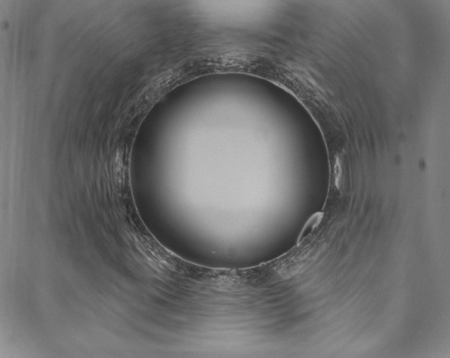X0000088881395200706081229