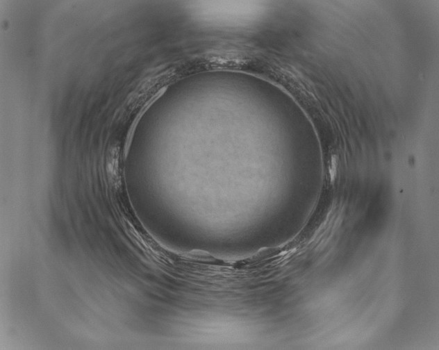 X0000088881396200706081229