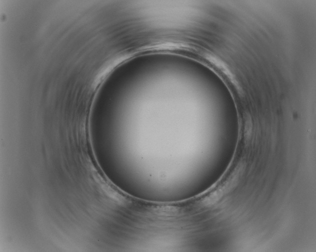 X0000088881417200706081229