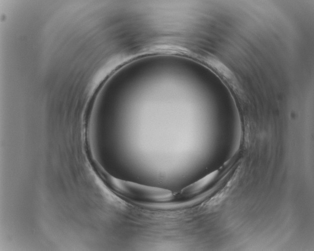X0000088881430200706081229