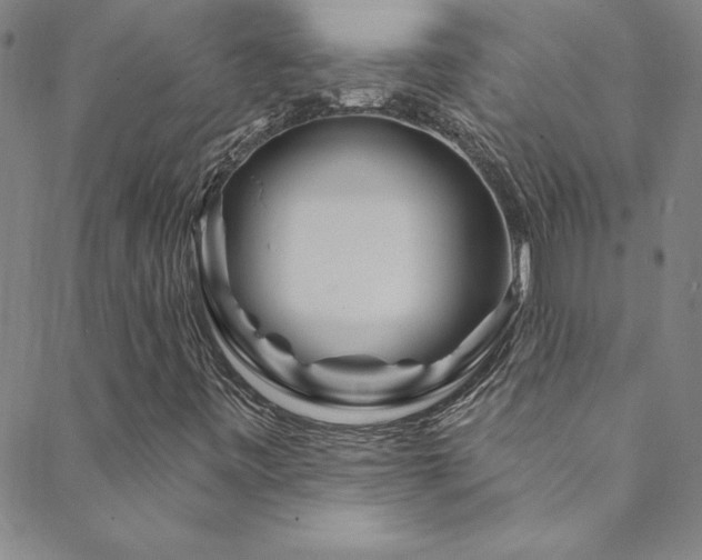 X0000088881443200706081229