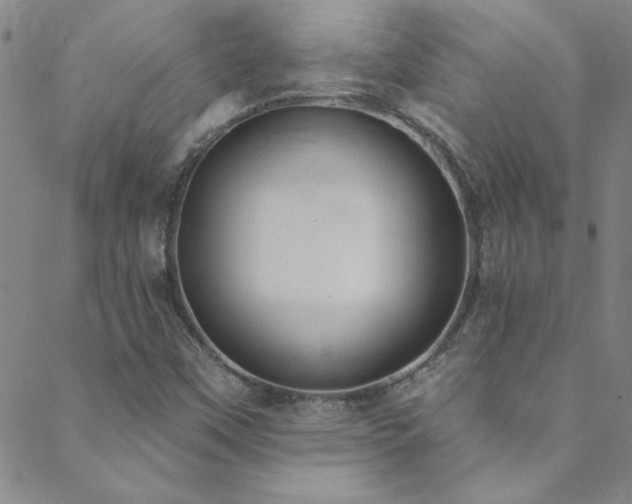 X0000088881451200706081229