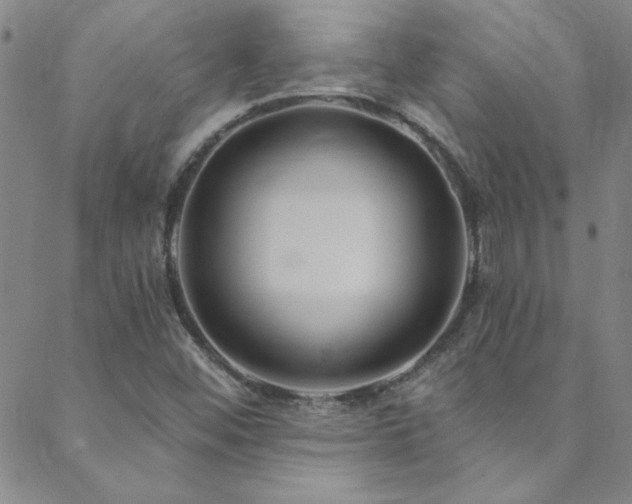 X0000088881452200706081229