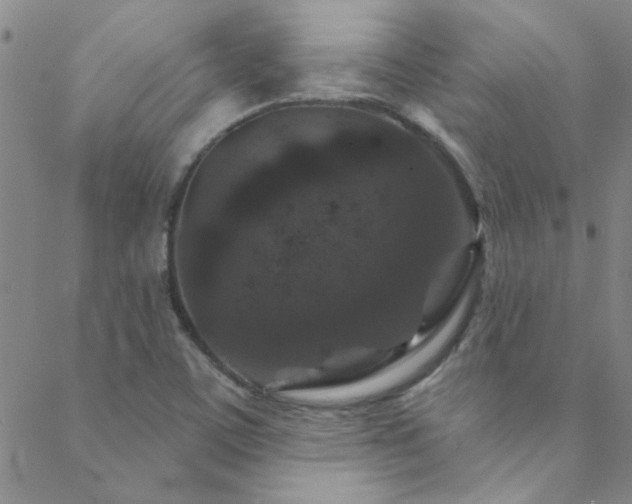 X0000088881459200706081229