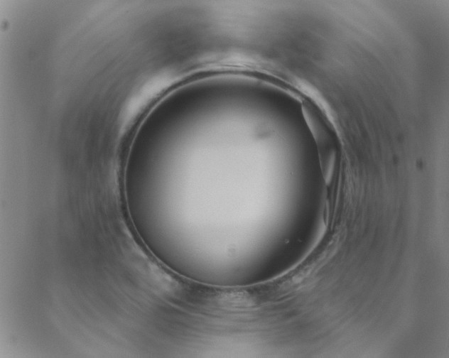 X0000088881464200706081228