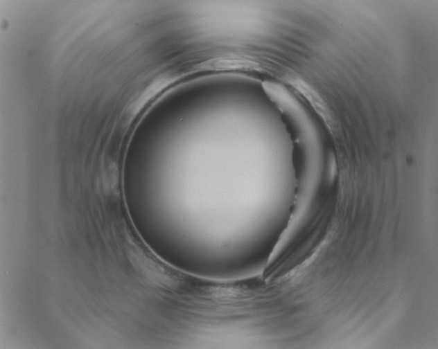 X0000088881465200706081228