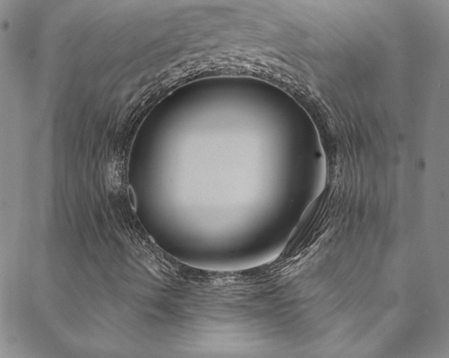X0000088881490200706081227