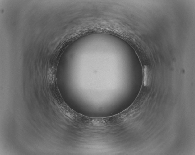 X0000088881491200706081227