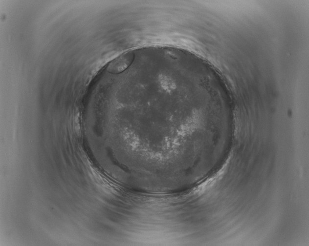 X0000088881497200706081227