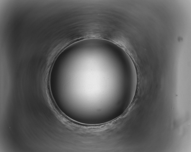 X0000088880001200706151820