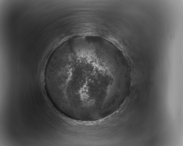 X0000088880002200706151820