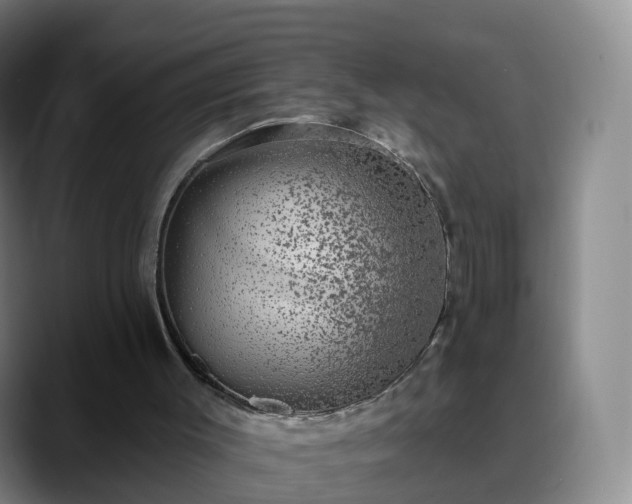 X0000088880003200706151820