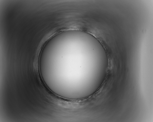 X0000088880004200706151820