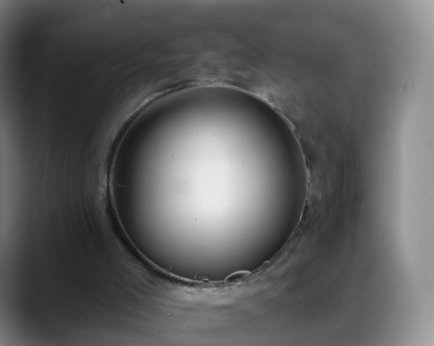 X0000088880005200706151820