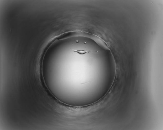 X0000088880006200706151820