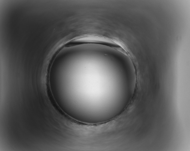 X0000088880007200706151820