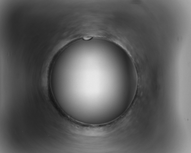 X0000088880008200706151820