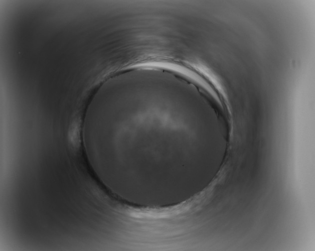 X0000088880009200706151820