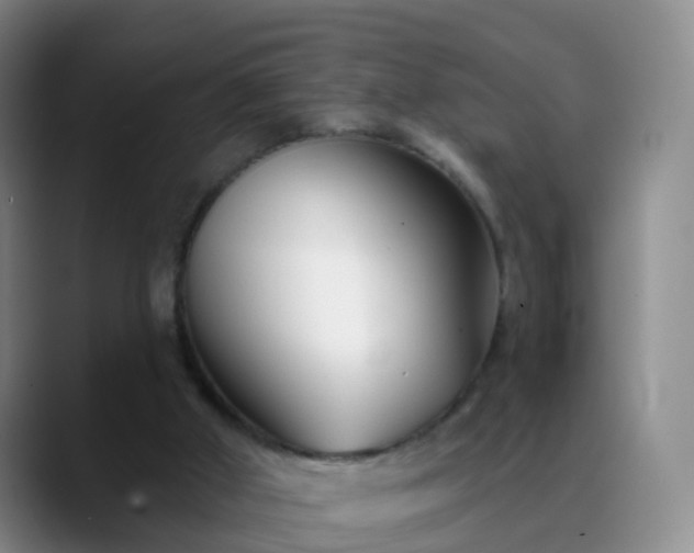 X0000088880010200706151820