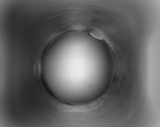 X0000088880011200706151820