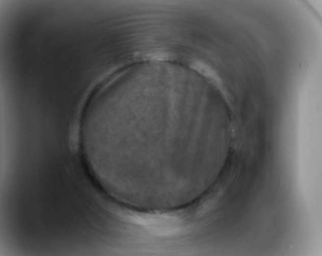 X0000088880012200706151820