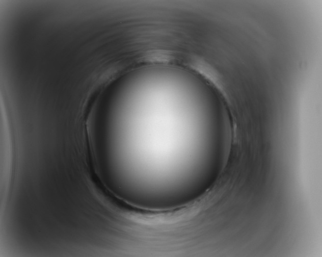 X0000088880013200706151820