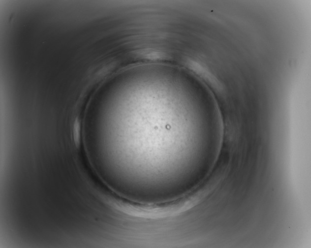 X0000088880014200706151820